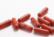 Италия Германия и Белгия са сред малкото държави от ЕС