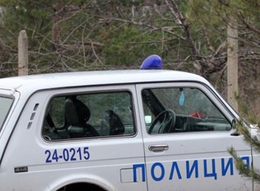 Собственичка на верига русенски аптеки е била убита