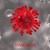 Водещи вирусолози предричат край на пандемията след масовото заразяване с "Омикрон"