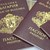 През последните пет години: Близо 54 000 с БГ паспорти, по-малко сто от тях със златни