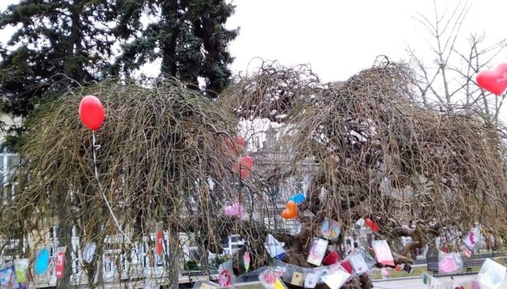 По традиция всеки русенец, присъединил се към окичването на Дървото на влюбените, ще получи от организаторите и индивидуално послание за любовта и приятелството
