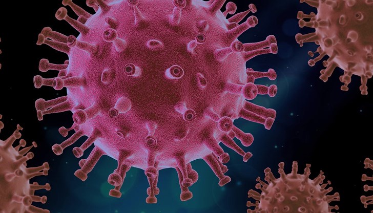 Коронавирусът може да бъде много избирателен Коронавирусът може да бъде много избирателен