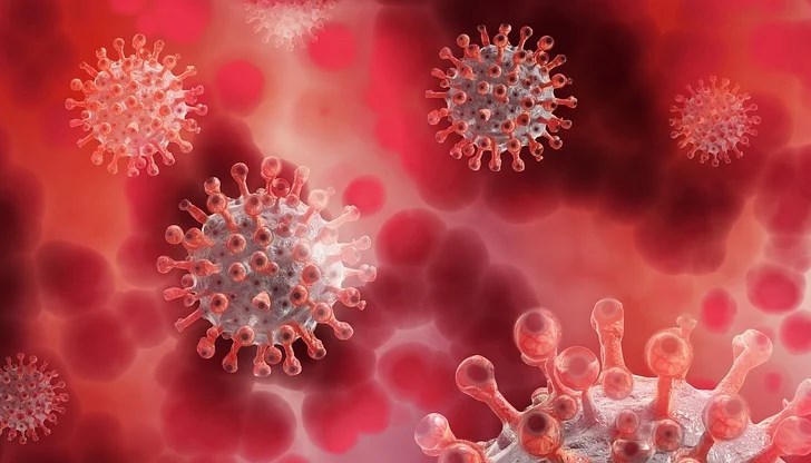 "Това не е нов вирус, а едновременна инфекция от коронавирус и грипен вирус", твърди Елиас Мосиалос, професор по здравна политика "Това не е нов вирус, а едновременна инфекция от коронавирус и грипен вирус", твърди Елиас Мосиалос, професор по здравна политика