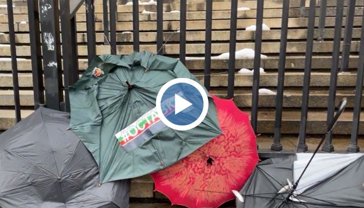 Организатори са бившите депутати Николай Хаджигенов и Арман Бабикян