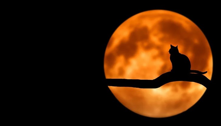 Сега сме в много напрегнат момент, така че започването на проект може да не е много правилно решение