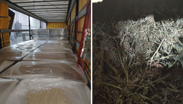 Стоката е била в 82 кашона Стоката е била в 82 кашона