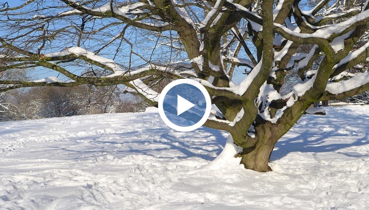 В планините - до 40 см сняг