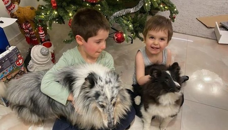 Вождът на ГЕРБ не пропусна да постне снимка на внуците си и за този празник