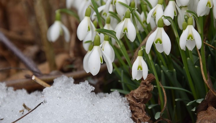 Малък сечко идва със застудяване и валежи, предимно от сняг