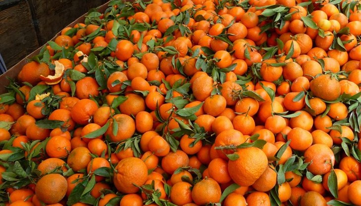 Мандарините и вносните домати са сред тях