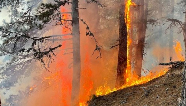 Пожар е избухнал над село Осеново