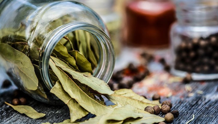 Тя може да се добави към ястия, супи или печени изделия Тя може да се добави към ястия, супи или печени изделия