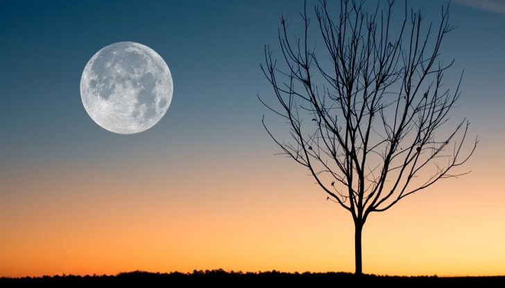 На 18 януари в 1 часа през нощта настъпва първото за 2022 година На 18 януари в 1 часа през нощта настъпва първото за 2022 година