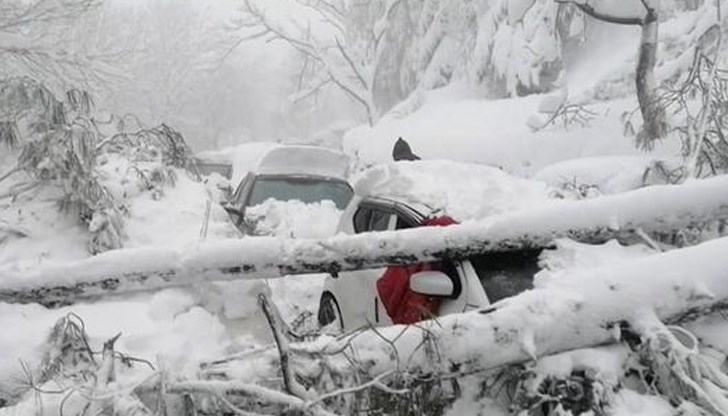 Повечето хора са загинали от хипотермия, след като са били блокирани в колите си Повечето хора са загинали от хипотермия, след като са били блокирани в колите си