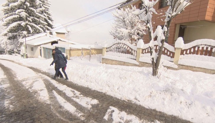 Общината не санкционира, а толерира лошата работа на фирмите за чистота, коментираха от "Спаси София", които изнесоха данните