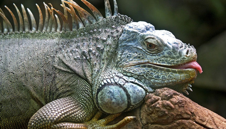 Явлението е свързано с падането на температуритеСиноптиците предупредиха наскоро жителите