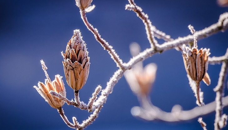 Днес облачността над южните райони ще се разкъса и след