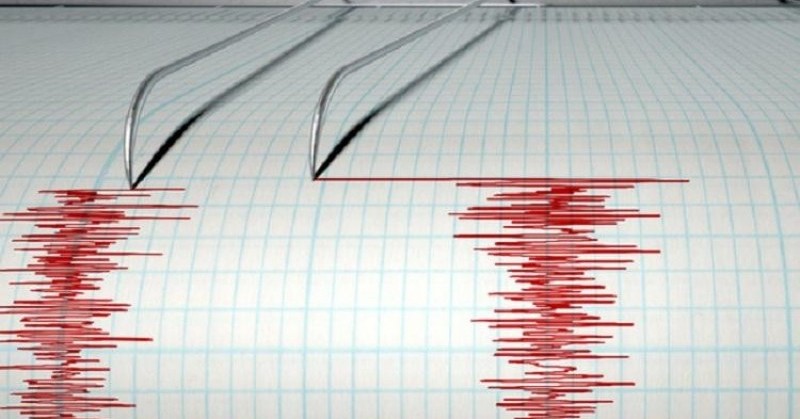 Земетресение с магнитуд 4,8 по скалата на Рихтер е регистрирано