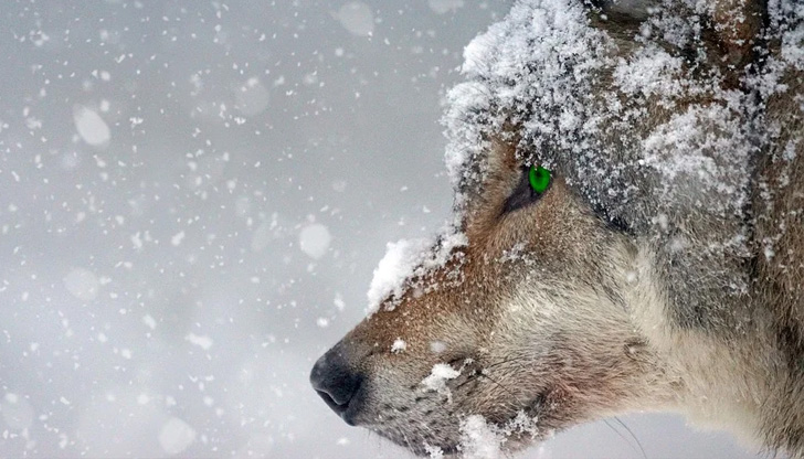Януарският мраз на Балканите продължава и в последния ден на