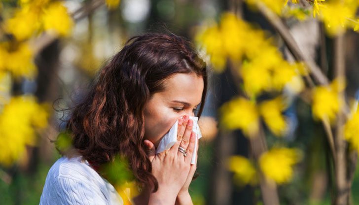 Измененията в климата водят до протичане на по-продължителни симптомиНормално алергиите
