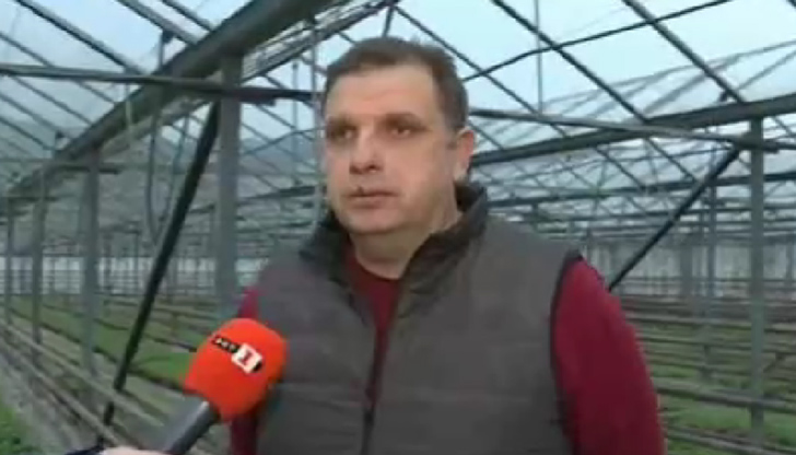 Скок на цените на оранжерийните зеленчуци се очаква през пролетта