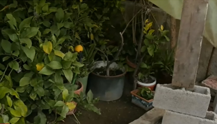 Климатичнтите промени и у нас са на път да объркат