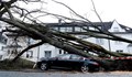 Буря остави без ток 19 хиляди домакинства в Германия