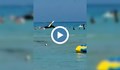 Хеликоптер се разби на плаж в Маями