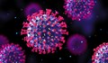 Учени изчислиха вероятността ваксинирани да починат от коронавирус