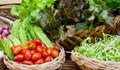 Зеленчуците, които не трябва да се мият преди ядене