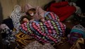 Анна Заркова: Докато политически мижитурски се перчат, гинат невинни деца и жени
