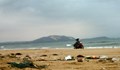 Изхвърлиха тонове мъртва риба в Бискайския залив