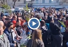 При небивал интерес премина акцията на Гората БГ в Русе В