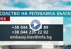 Седем са автобусите които извозват над 500 наши сънародници от