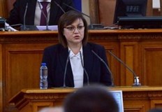 Държавните горски стопанства да добиват сами дървесина и да я