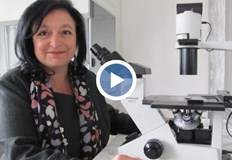 Очаква ни спокойно лято при висока ваксинация прогнозира тяВ България