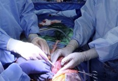 Миналият месец американски лекари за първи път успешно присадиха генетично