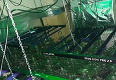 Задържан е 50 годишен криминално проявен и осъждан мъжРазбиха оранжерия за