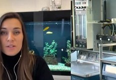 Мая Христова твърди че е загубила своя баща през 2019