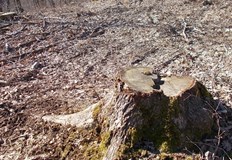 Продължаваме промяната върви в коловоза на прогнилите от корупция мафиотизирани