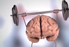 Германски учени разкриха възрастта на необратимо стареене на човешкия мозъкОказа