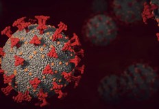 1 235 са новите случаи на коронавирус в страната през