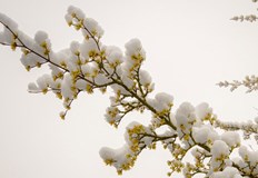 Най ниските температури през март у нас ще бъдат между минус