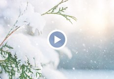 Март ще започне с истинско зимно време Най много валежи за последното