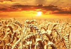 Украйна разполага с несметни богатства желязна руда графит титан