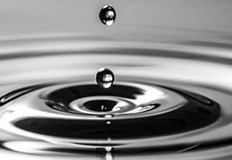 В сезона на настинките и грипа всеки родител търси най доброто