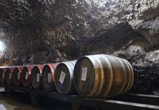 Липси на 319 241 литра бели и червени вина установиха