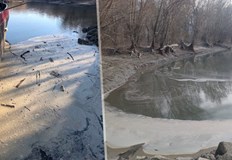 Мазни петна в река Дунав притесниха жителите на село РяховоСтефан