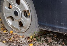 Общината издаде предписания на собствениците имОбщина Русе уведомява гражданите че във връзка