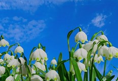 През нощта ще бъде ясно със слаб вятър от юг